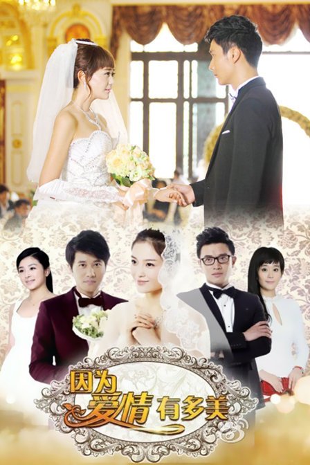 《因为爱情有多美》剧情介绍(1-40全集)大结局_电视剧